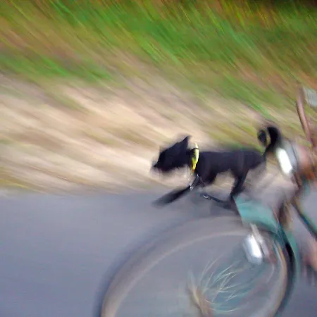 Traumhaff Historischer Kahnschifferhof Mit Kamin, Liebevoll Restauriert
